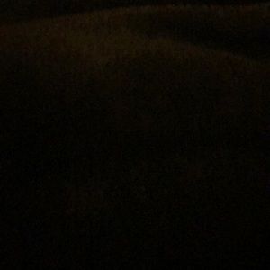 Meet your Posher, Kseniya